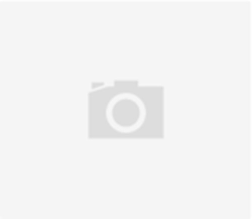 Ciclo de Conciertos de Cámara y Solistas