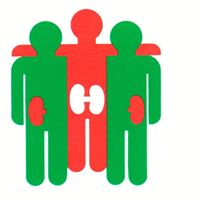 Asociación para la lucha contra las enfermedades renales, ALCER