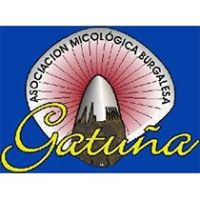 Asociación Micológica Gatuña