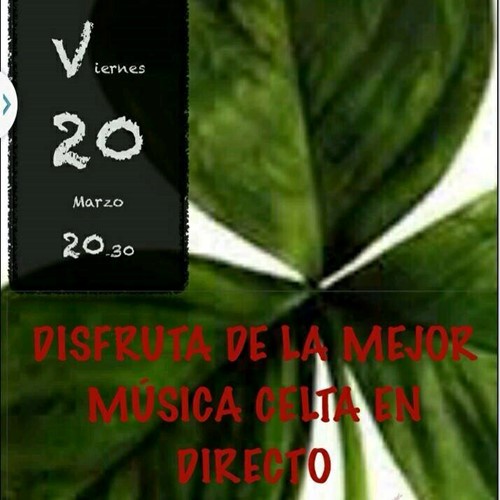 Concierto de Humming Walls