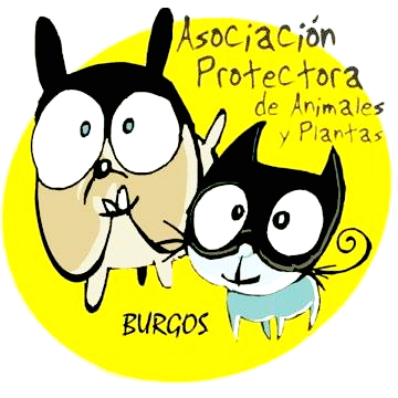 Protectora de animales de Burgos