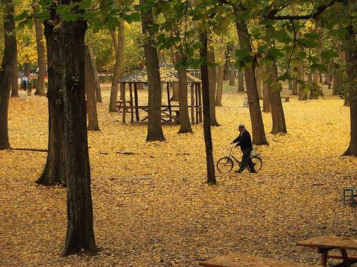 Parque de Fuentes Blancas