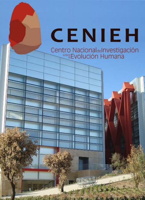 Centro Nacional de Investigación sobre la Evolución Humana (CENIEH)