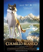 Colmillo blanco