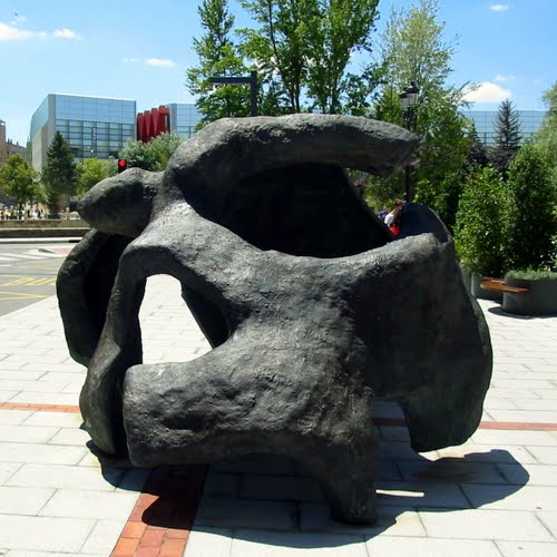 Craneo Homo Antecesor