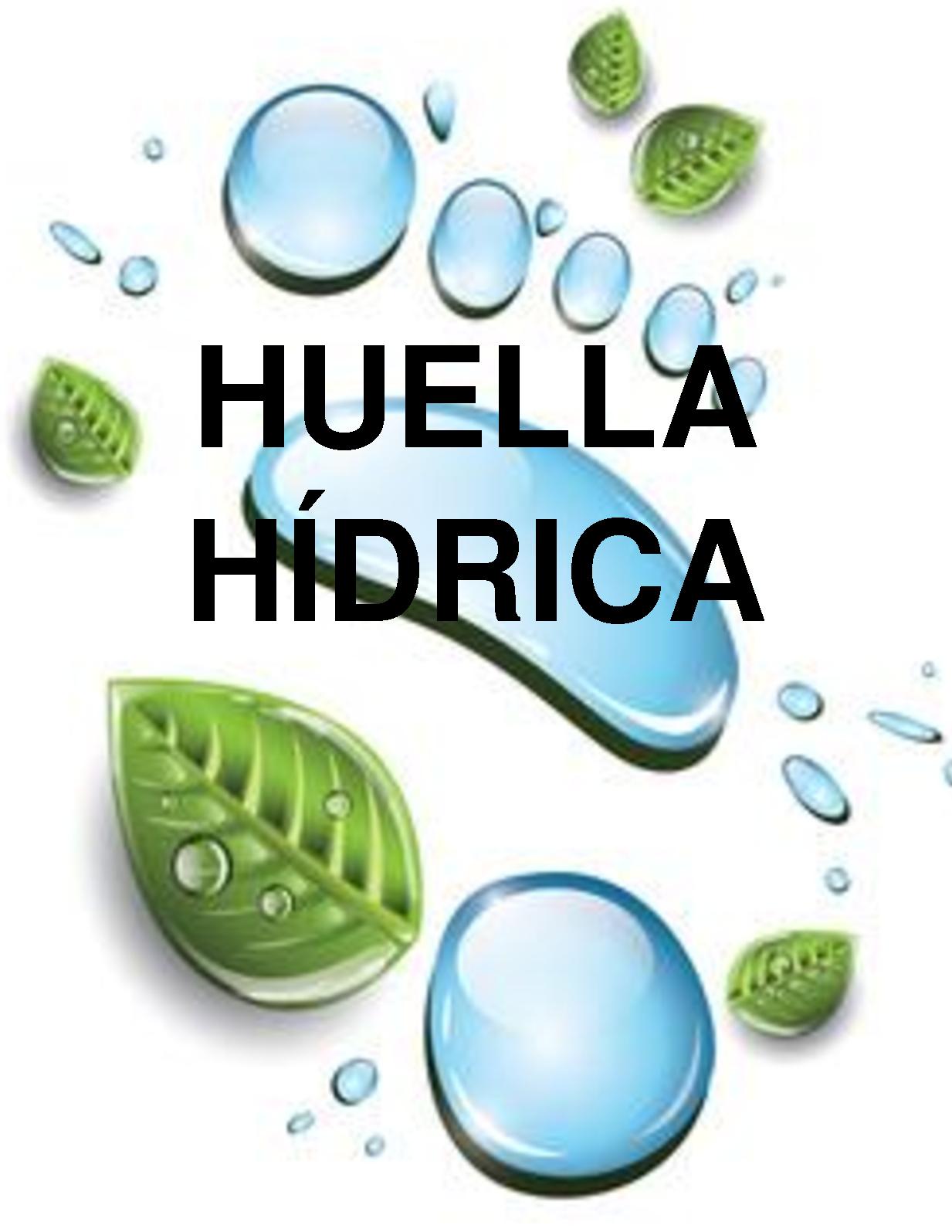 La huella Hídrica su cálculo y su significado ambiental