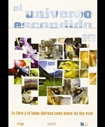 Ambiente Documental
