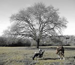 Christian Villamide. PERturbacións Christian Villamide. PERturbacións