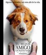 Tu mejor amigo: un nuevo viaje