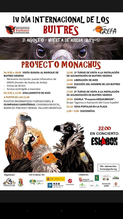 IV Día Internacional de los Buitres