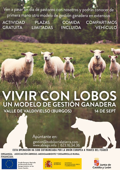 Vivir con lobos: un modelo de gestión ganadera