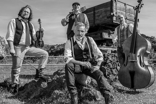 The Old Timey String Band