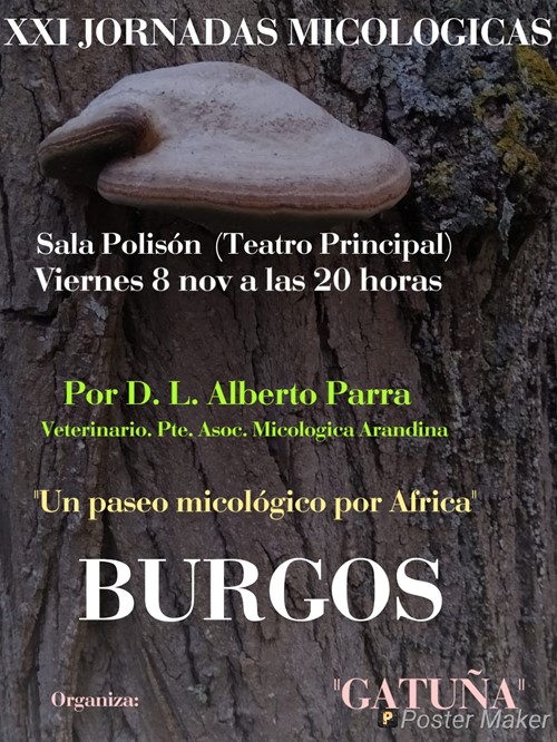 Un paseo micologico por africa