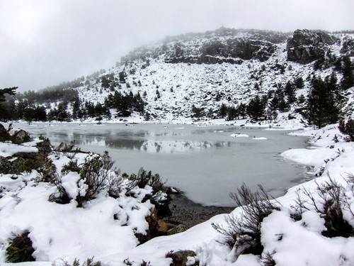 Excursión Ambiental