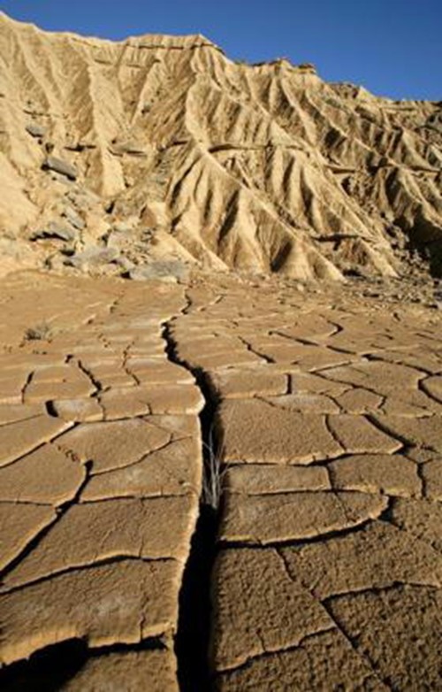 Cine  “Cambio climático en España: Impacto y consecuencias"