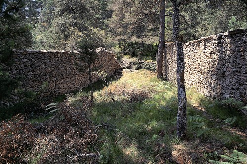 Excursión Ambiental“