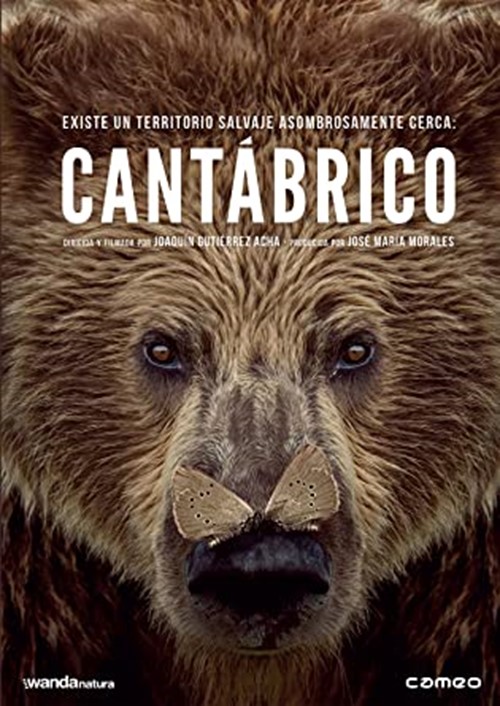 Cine Ambiental: “Cantábrico“