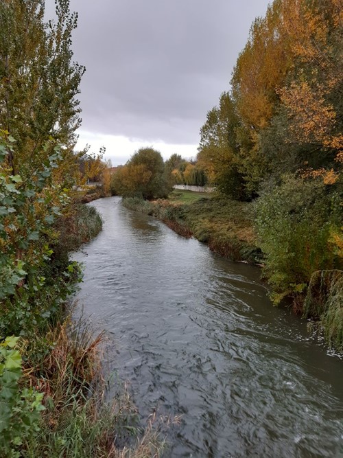 “Singularidades a lo largo de las riberas del río Vena”