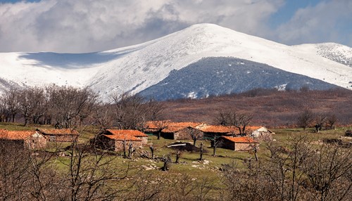 Excursión Ambiental: “La Ruta de los Jaramillos"