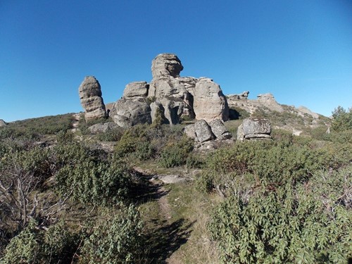 Excursión Ambiental: Con Enrique del Rivero