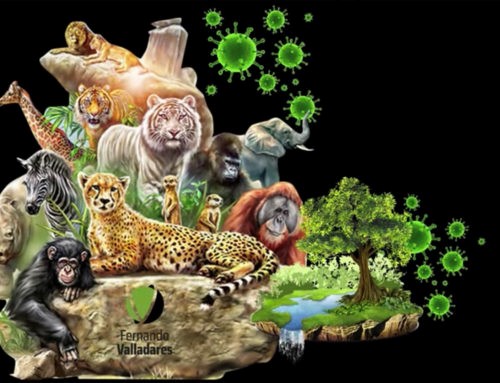 Humanidad: Biodiversidad, Pandemias y Cambio Climático”