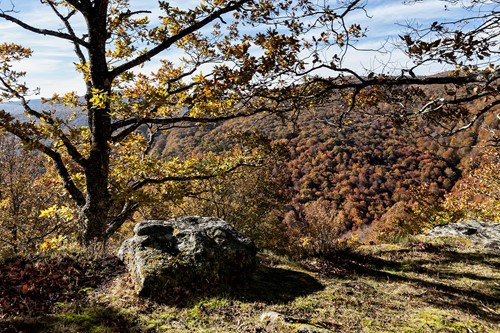 Excursión Ambiental: Monte Hijedo, Con Enrique del Rivero.