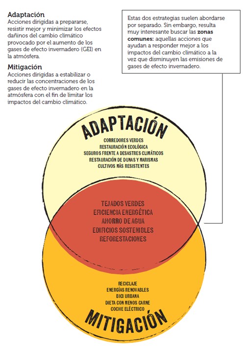 Conferencia Ambiental