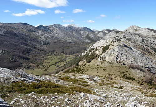 Excursión Ambiental con Enrique del Rivero
