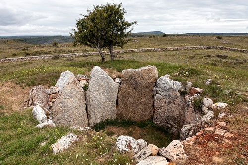 "Dólmenes e iglesias románicas en Sedano y su entorno"