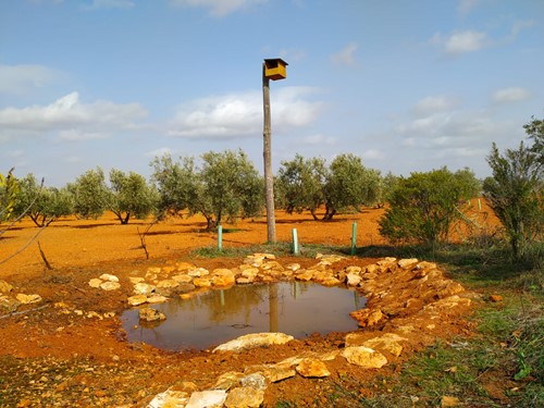Conferencia: "Hacia una transición agroecológica"