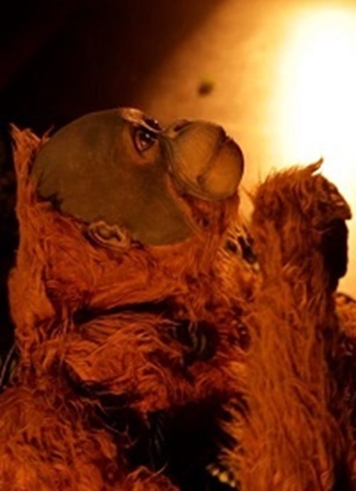 Y tú qué pintas: Jojo