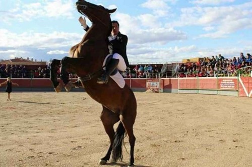 Exhibición de caballos "Duende ecuestre"