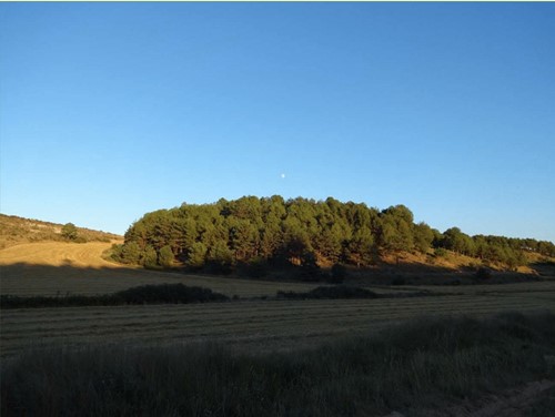 Itinerario  "Monte de la Abadesa: Rehoyo y los Llanos"