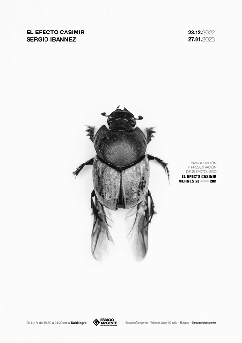 El Efecto Casimir de Sergio Ibannez