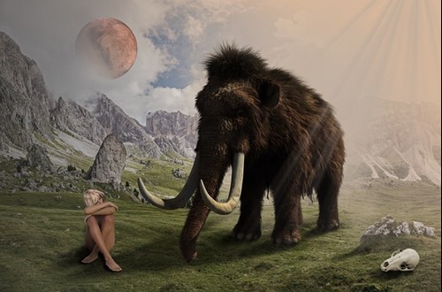 Visita Guiada a la Exposición Temporal Un Mamut en Burgos