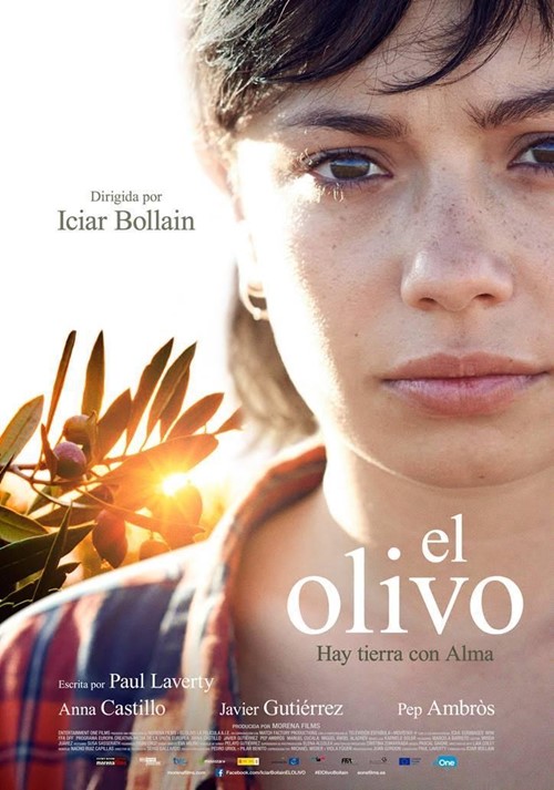Cine Ambiental: “El olivo”.