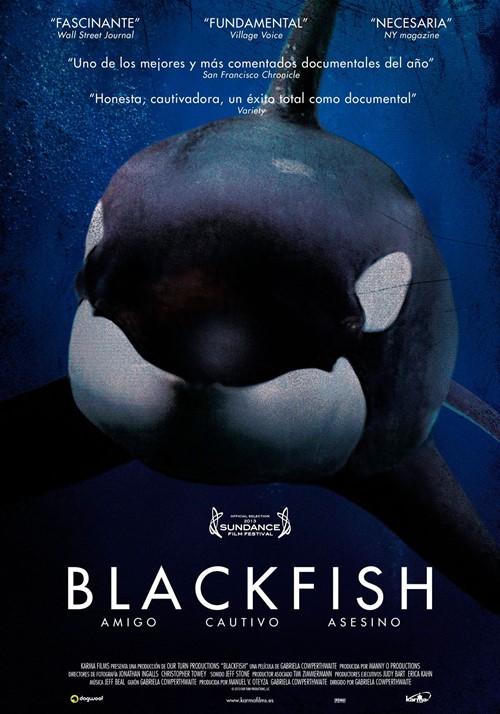 Cine Ambiental: “Blackfish”