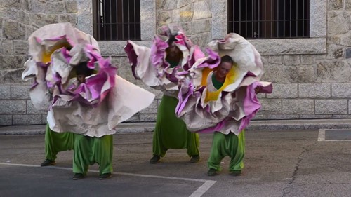 Aracaladanza. A pie de calle