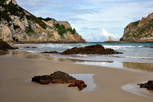 Ruta ambiental: "La costa por Asturias"