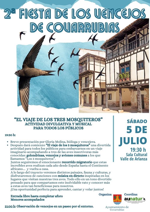 2ª Fiesta de los Vencejos de Covarrubias
