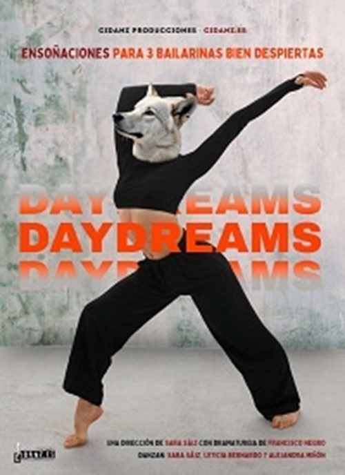 Ballet Contemporáneo de Burgos. DayDreams