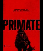 Primate