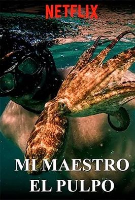 Cine Ambiental: Mi maestro el pulpo en Sala de Juntas 1. EPS Vena. Av. Cantabria, s/n., Burgos