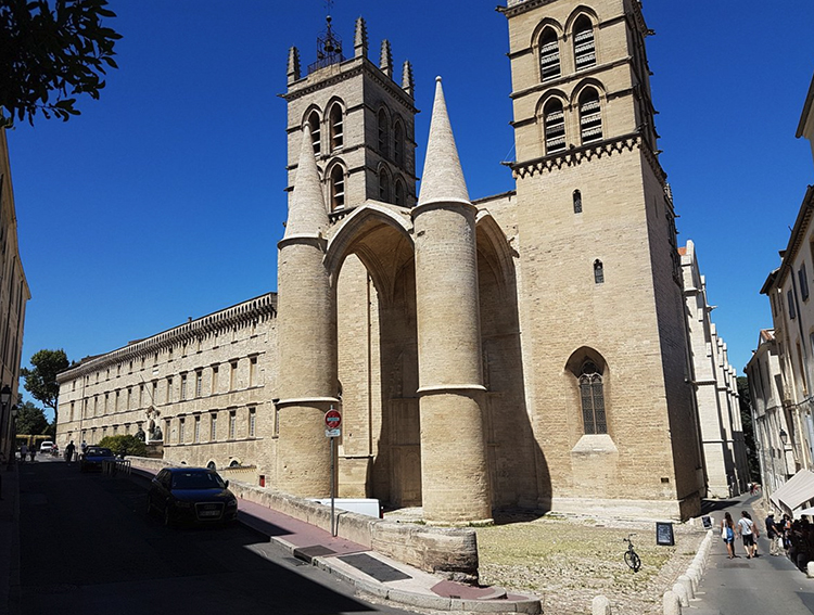Ruta Ambiental:  “primavera EN EL Languedoc Y LA Provenza” en Pirineos, Burgos
