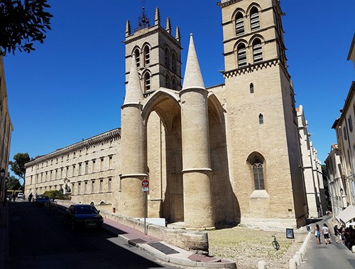 Ruta Ambiental: “primavera en el Languedoc Y la Provenza”