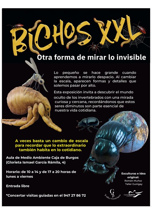 Bichos XXL