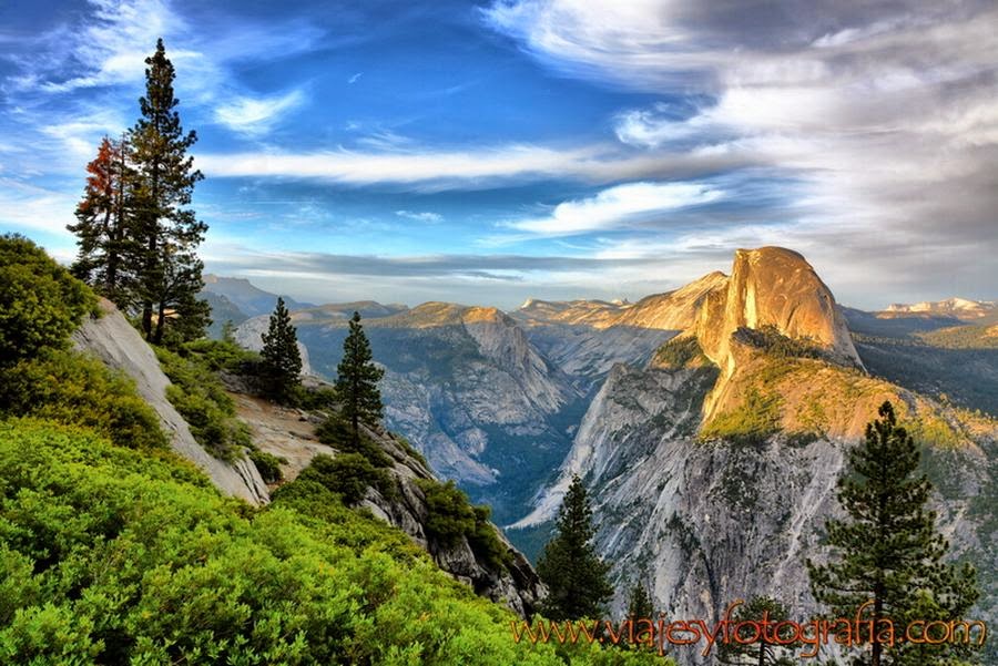 Lugares de la tierra: Reinos Forestales y Vistas Panorámicas en Sala de Juntas I. EPS VENA, Burgos