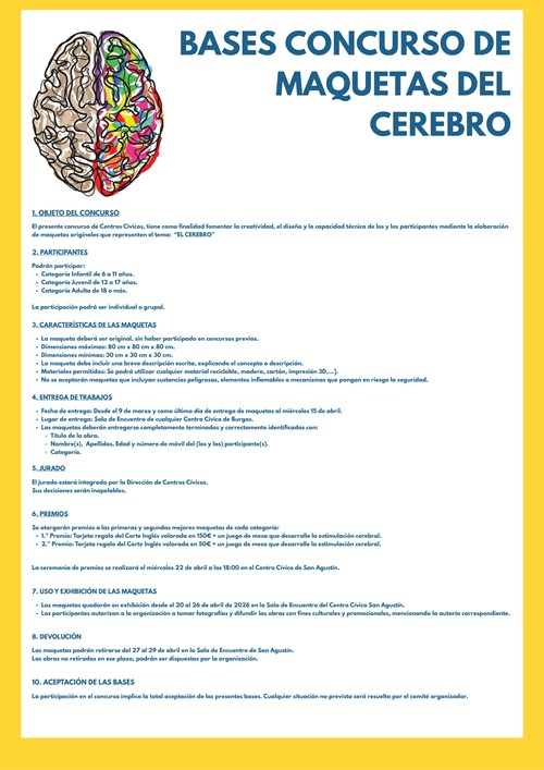 Concurso de Centros Cívicos : "Maquetas del cerebro"