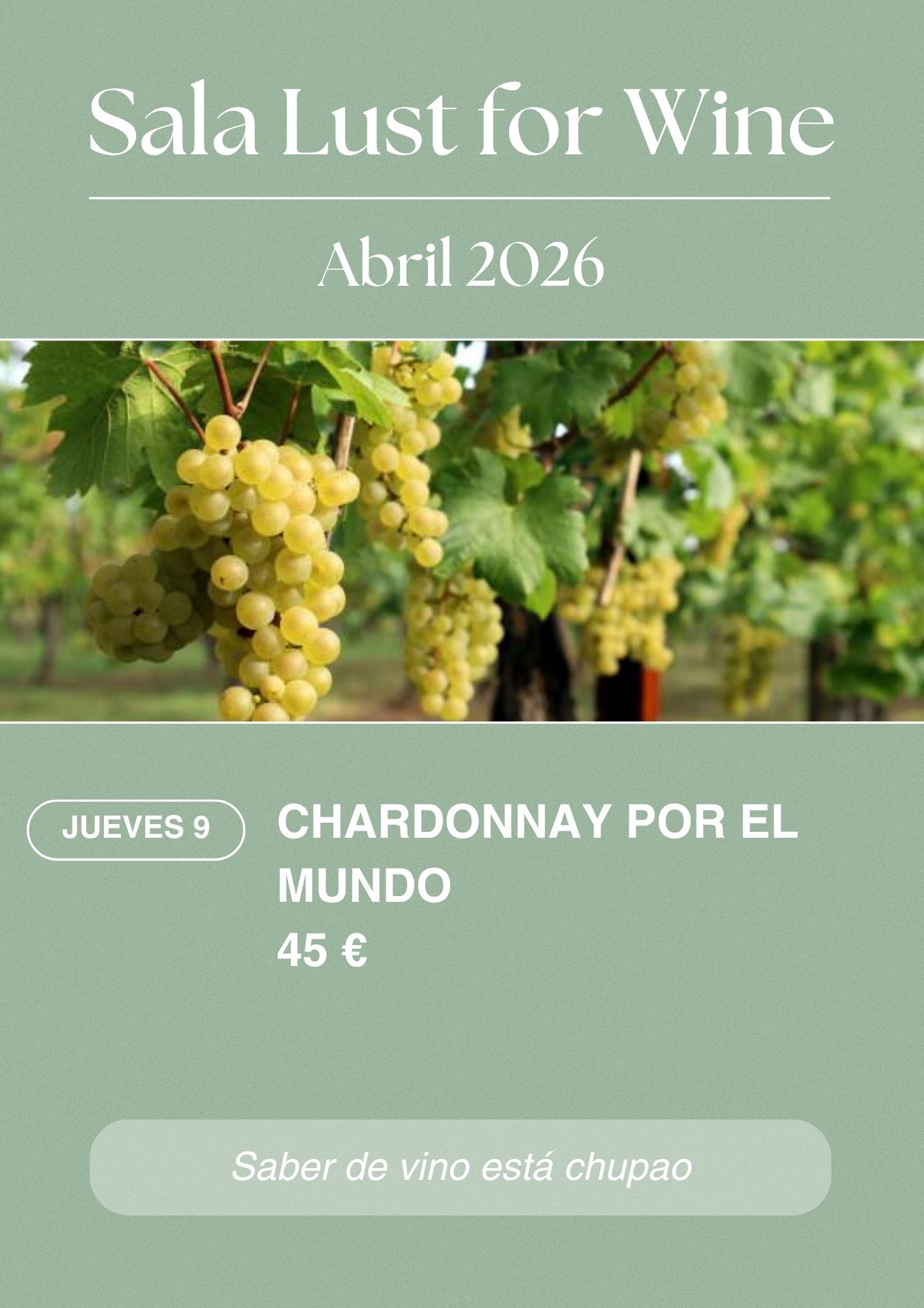 Monográfico - Chardonnay por el mundo en Sala Lust for Wine. Plaza Alonso Martínez, 7A Edificio Monasterio Oficina 57, Burgos