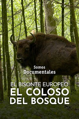 Cine Ambiental: “El bisonte europeo". Rtve en Sala de Juntas I. EPS VENA, Burgos